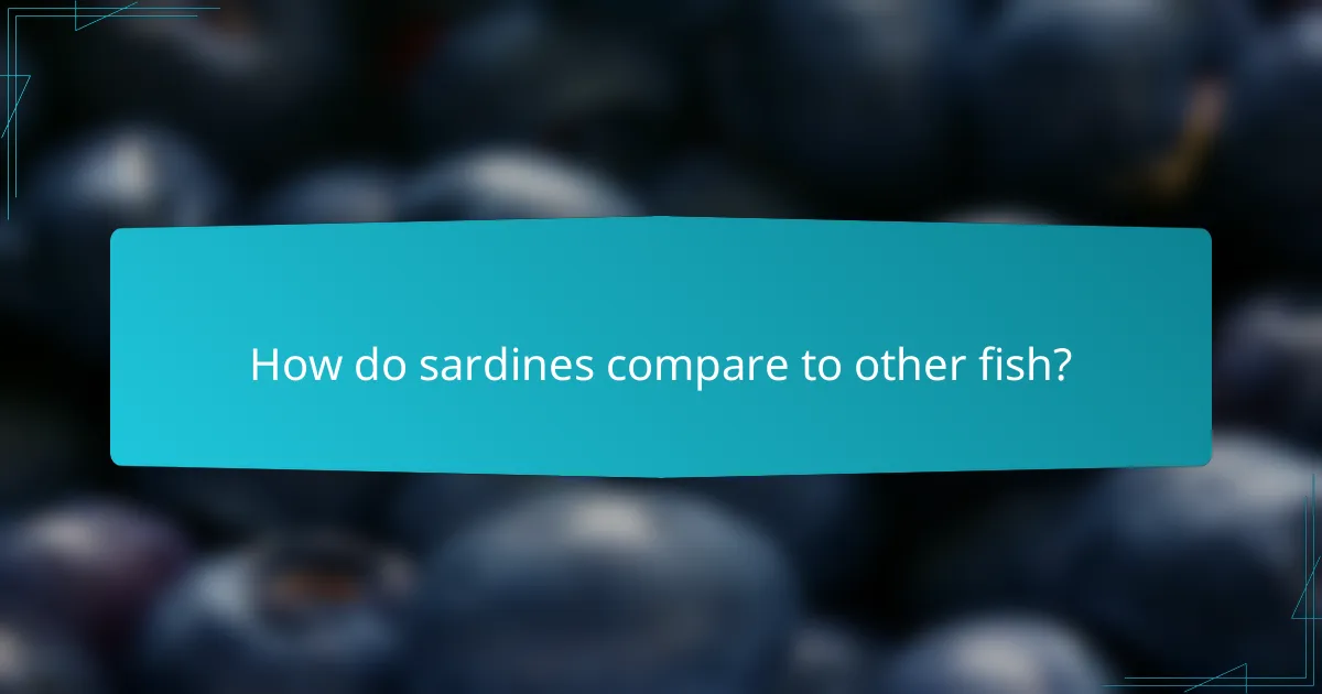 How do sardines compare to other fish?