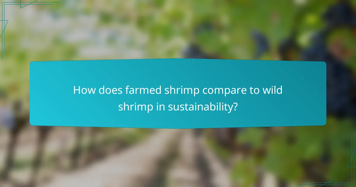 How does farmed shrimp compare to wild shrimp in sustainability?