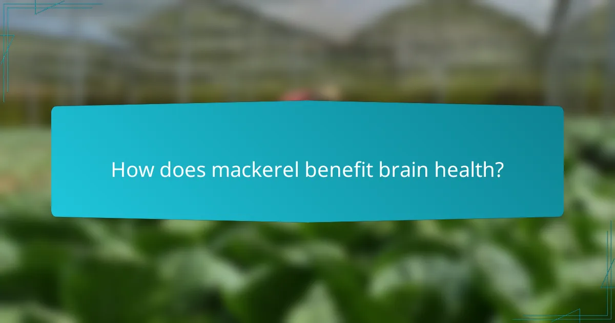 How does mackerel benefit brain health?
