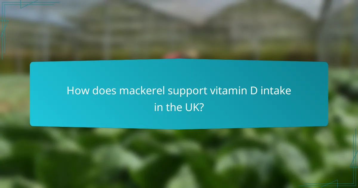 How does mackerel support vitamin D intake in the UK?