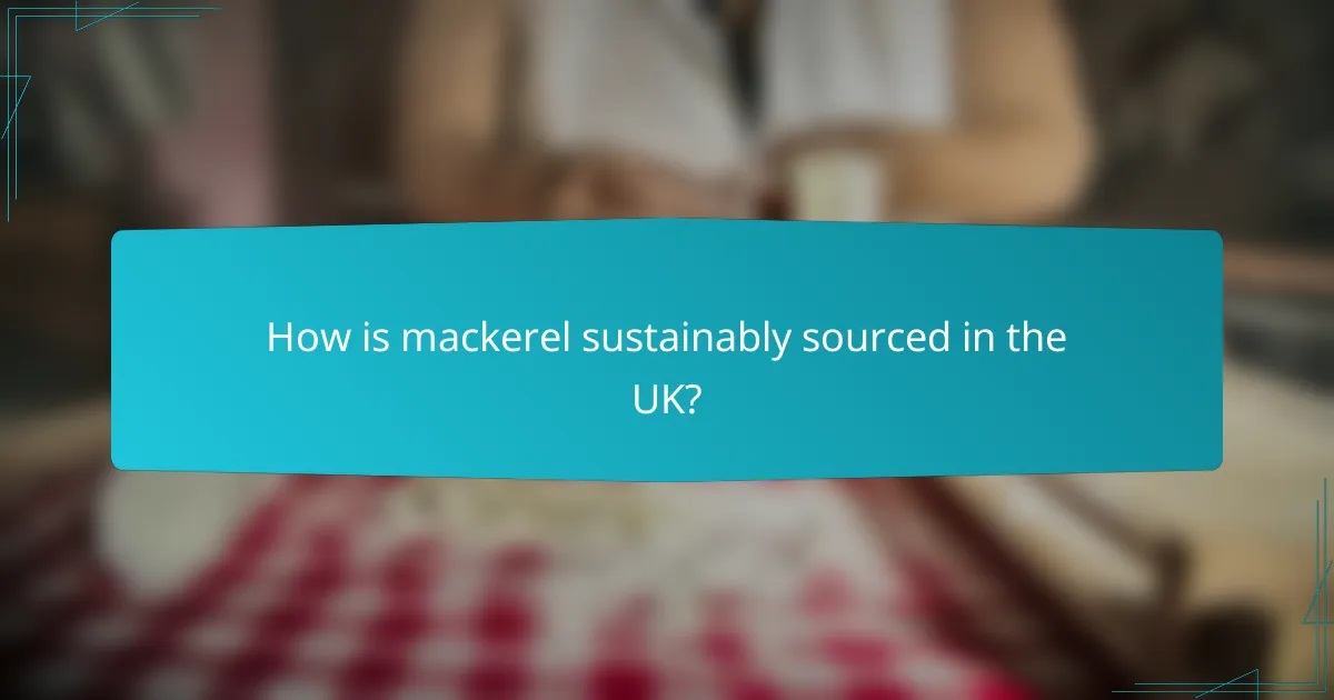 How is mackerel sustainably sourced in the UK?