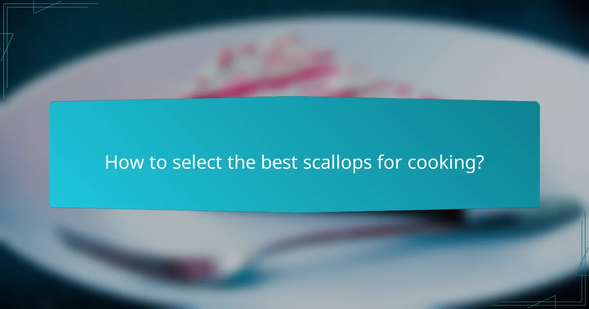 How to select the best scallops for cooking?