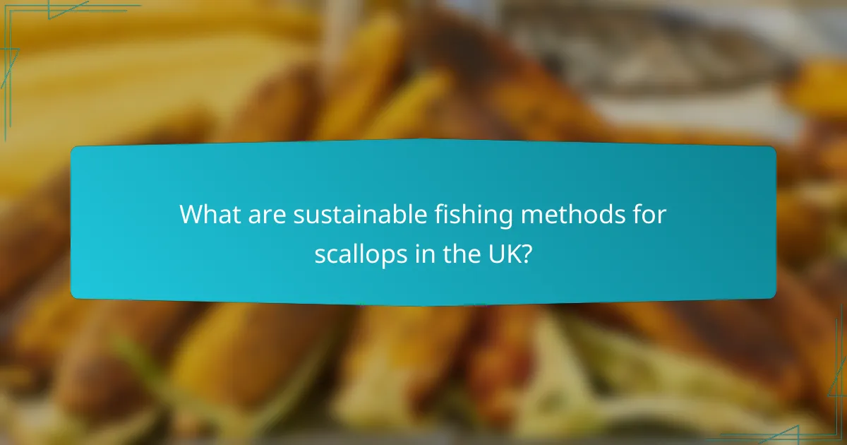 What are sustainable fishing methods for scallops in the UK?