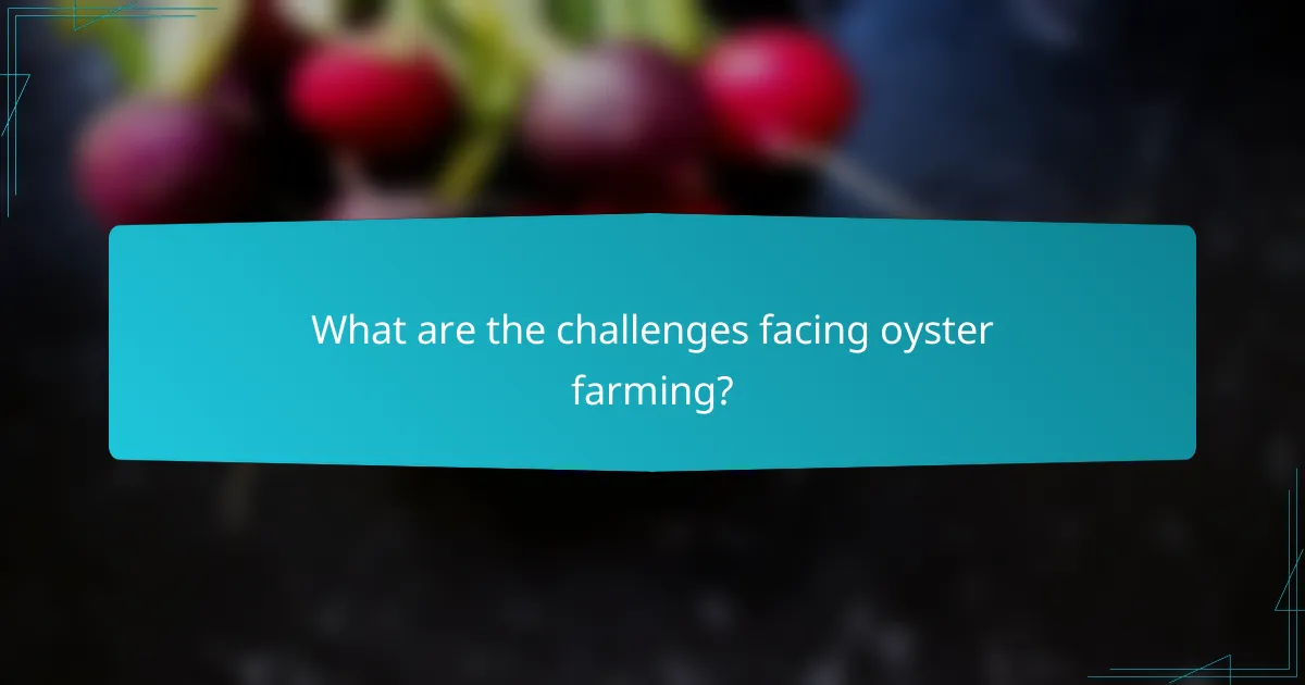 What are the challenges facing oyster farming?