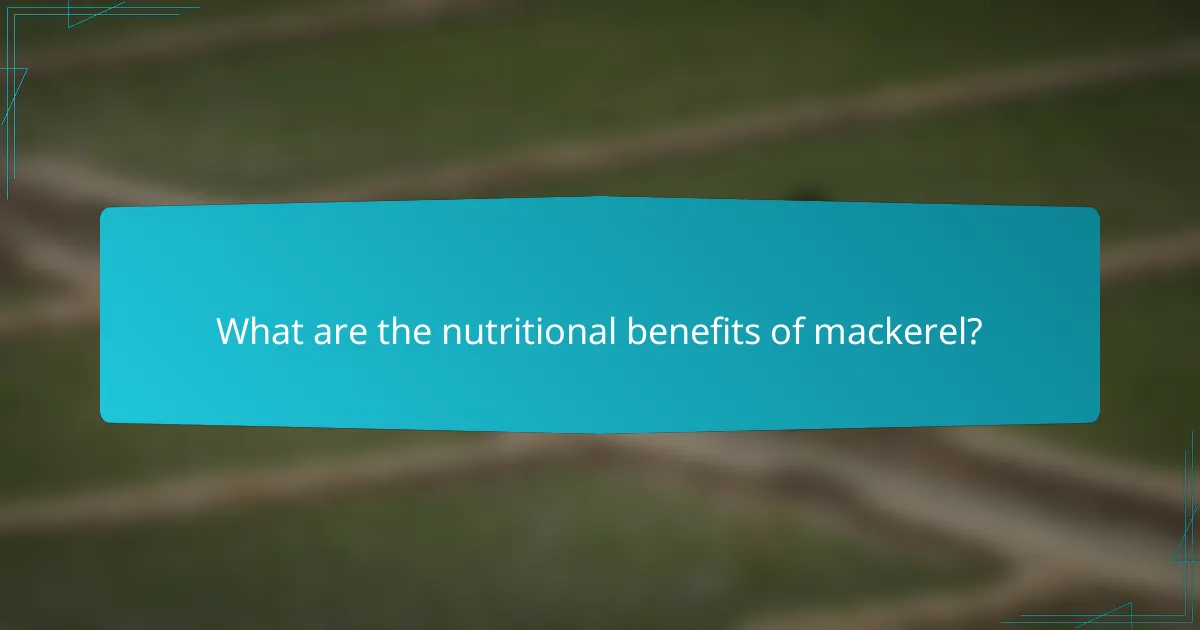What are the nutritional benefits of mackerel?