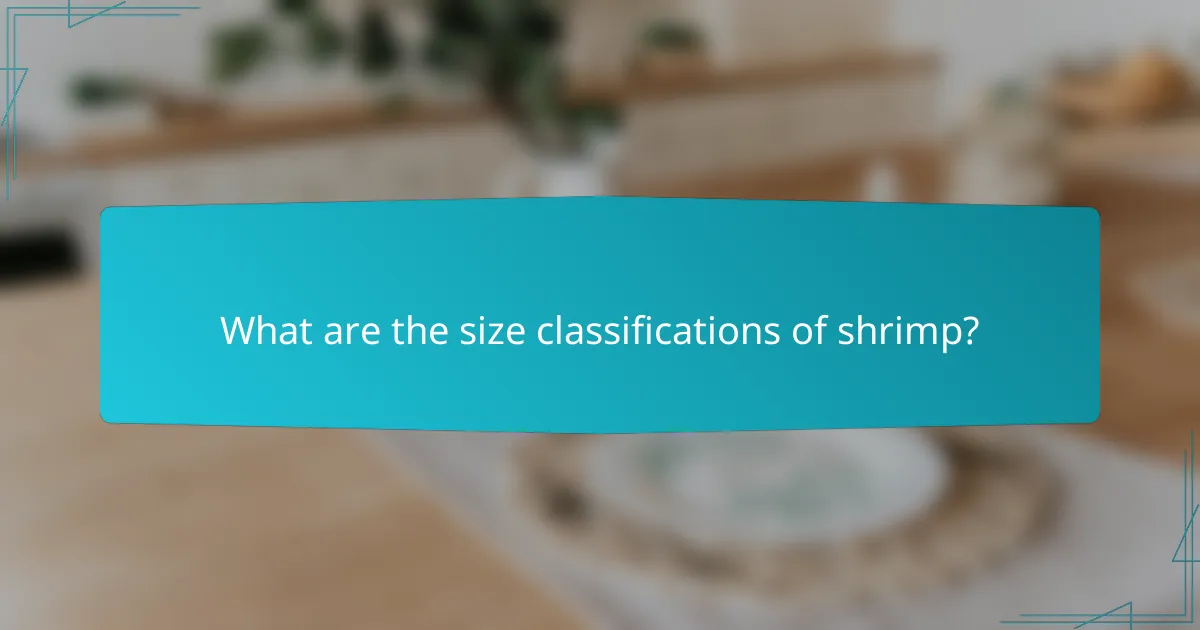 What are the size classifications of shrimp?