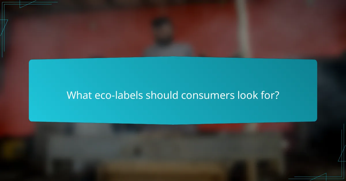 What eco-labels should consumers look for?