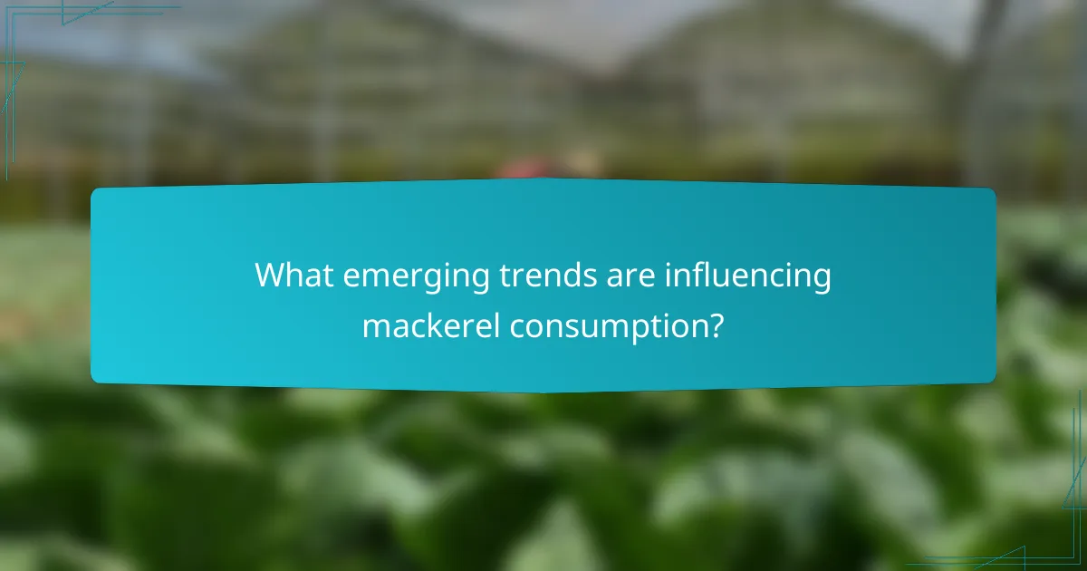 What emerging trends are influencing mackerel consumption?