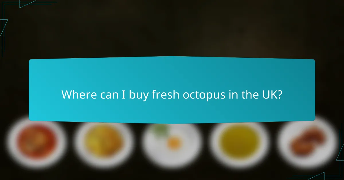 Where can I buy fresh octopus in the UK?
