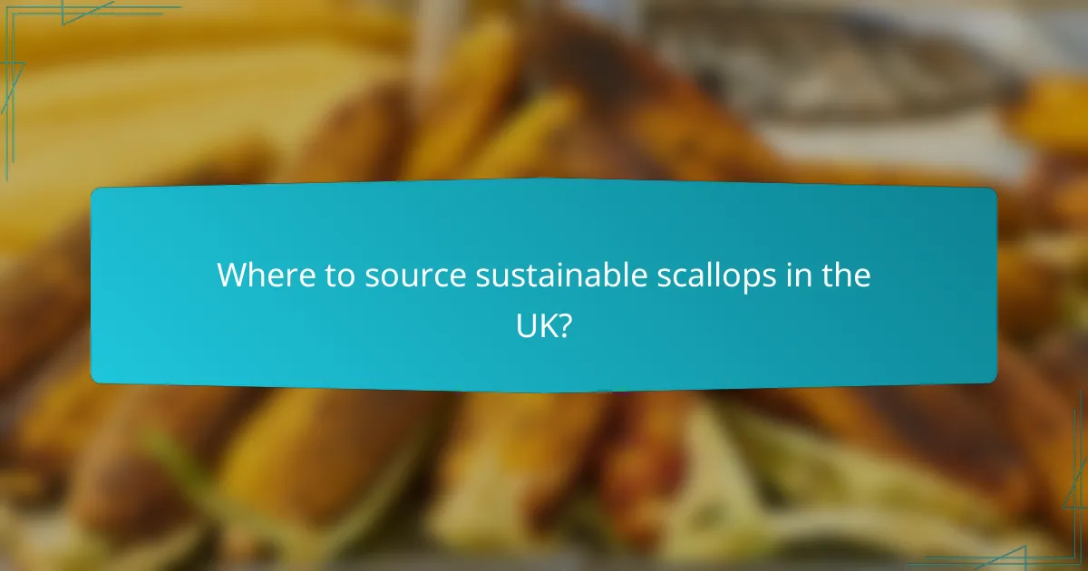 Where to source sustainable scallops in the UK?